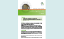 Cover of the annual epidemiological report for Q fever Thumbnail