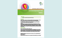 Cover of the report: Rabies - Annual Epidemiological Report for 2016 Thumbnail