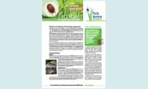 Cover of the factsheet on tick-borne relapsing fever for health practitioners Thumbnail