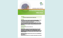 Cover of the report: Yellow fever - Annual Epidemiological Report for 2016 Thumbnail