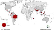 Geographical distribution of dengue cases reported worldwide, 2021