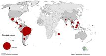 Geographical distribution of dengue cases reported worldwide, 2020