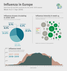 Weekly influenza update, week 14, April 2019 Thumbnail
