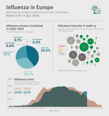 Weekly influenza update, week 15, April 2019 Thumbnail
