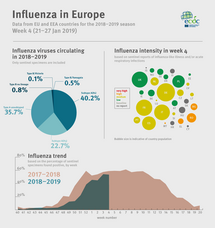 Weekly influenza update, week 4, January 2019 Thumbnail