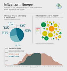 Weekly influenza update, week 8, February 2019 Thumbnail