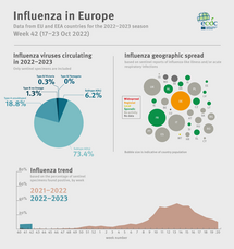 Weekly influenza update, week 42, October 2022
