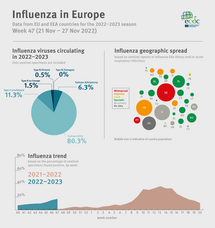 Weekly influenza update, week 47, November 2022