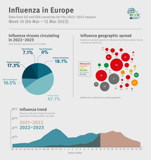 Weekly influenza update, week 10, March 2023