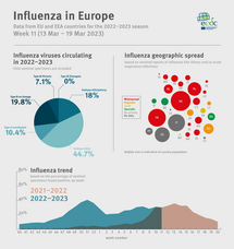 Weekly influenza update, week 11, March 2023