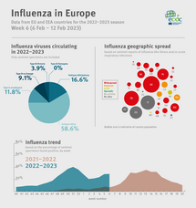 Weekly influenza update, week 6, February 2023