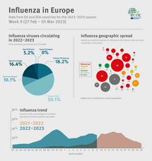 Weekly influenza update, week 9, March 2023