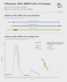 Weekly respiratory virus update, week 44, October-November 2024