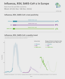 Weekly respiratory virus update, week 49, December 2024