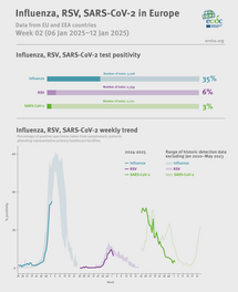 Weekly respiratory virus update, week 2, January 2025