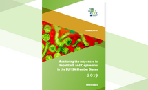 Cover of the report: Monitoring the responses to hepatitis B and C epidemics in the EU/EEA Member States, 2019