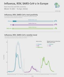 Weekly respiratory virus update, week 15, April 2024