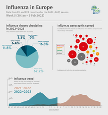 Weekly influenza update, week 5, January 2023