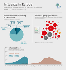 Weekly influenza update, week 1, January 2023