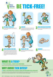 Poster on ticks for school children living in endemic areas Thumbnail