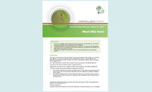 West Nile - AER 2015 Thumbnail