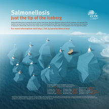 Salmonellosis - Just the tip of the iceberg Thumbnail