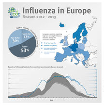 Influenza in Europe, Season 2012–2013 Thumbnail