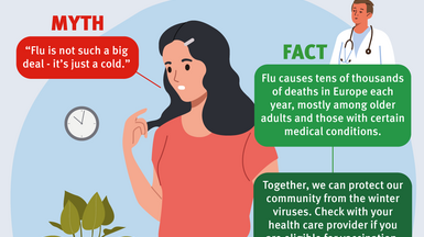 Mythbusting: Dangers of the flu