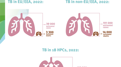 Tuberculosis cases in EU/EEA, non EU/EEA and 18 high-priority countries, 2022