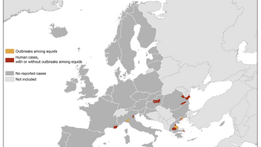 West Nile virus in Europe in 2019 - human and equine cases, updated 1 August Thumbnail