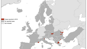 West Nile virus in Europe in 2019 - human cases, updated 1 August Thumbnail