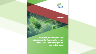 Cover of the report: "Fourteenth external quality assessment for Salmonella typing in EU/EEA and EU enlargement countries, 2024"