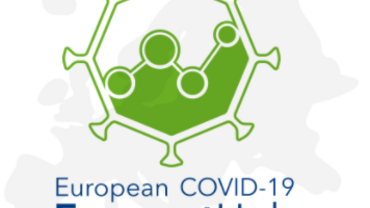 COVID-19 forecast hub logo