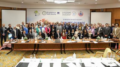 ECDC and Egypt workshop 1