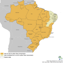 Yellow fever risk areas in Brazil, as of 30 January 2019 Thumbnail
