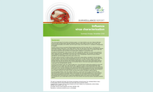 Cover for Influenza virus characterisation November 2018 Thumbnail