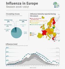 Influenza in Europe, 2016-2017 Thumbnail