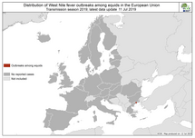 West Nile virus in Europe in 2019 - equine cases; updated 11 July Thumbnail