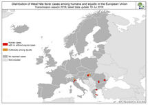 West Nile fever in Europe in 2018 - human and equine cases; updated 20 July Thumbnail