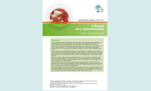 Influenza virus characterisation, Summary Europe, November 2017 Thumbnail