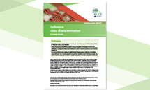 Generic cover for the influenza virus characterisation report Thumbnail