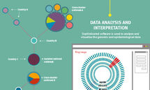 Infographic_TB_Genome_sequencing_H Thumbnail