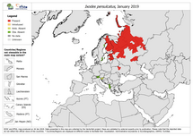 Ixodes persulcatus - current known distribution: January 2019 Thumbnail