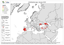 Ornithodoros - current known distribution: January 2019 Thumbnail
