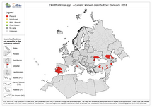 Ornithodorus spp. - current known distribution, January 2018 Thumbnail