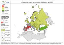 Phlebotomus ariasi - current known distribution in Europe, April 2017 Thumbnail