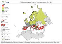 Phlebotomus papatasi - current known distribution in Europe, April 2017 Thumbnail