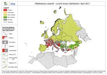 Phlebotomus mascitii - current known distribution in Europe, April 2017 Thumbnail
