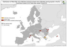 West Nile virus in Europe in 2019 - human and equine cases, updated 8 August Thumbnail