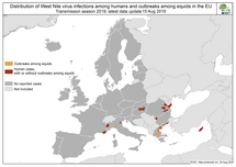 West Nile virus in Europe in 2019 - human and equine cases, updated 15 August Thumbnail